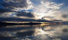 亲情很现实的句子说说心情