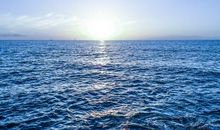 亲情现实句子说说心情