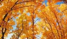 关于亲情家人的感人句子说说心情