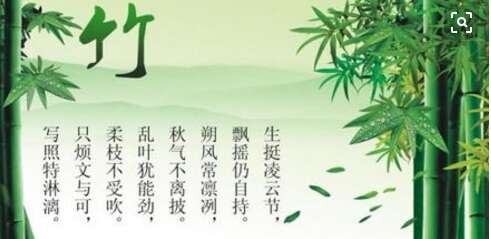 竹