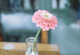 10.家庭感情是雨后花蜜的滴落，滋养了原本贫瘠的土壤。