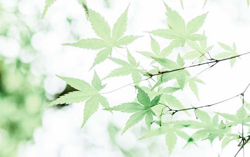 11.感谢您的离开，让我学会坚强。谢谢您的背叛，让我清楚地看到世界。