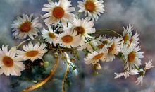 亲情的手抄报的句子大全