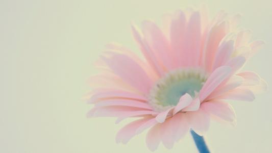 9.痛苦过后，我知道如何保护自己；哭了之后，我知道心痛的感觉。在变得愚蠢之后，我知道如何坚持和放手，在经历了爱情之后，我知道我实际上非常脆弱。