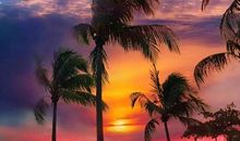 有亲情的地方文中画线句子中的一词