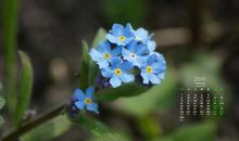 生活终有痛苦有开心的句子