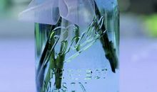 形容亲情感恩的句子