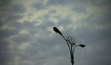 我的这条短信包含对你冬至的问候