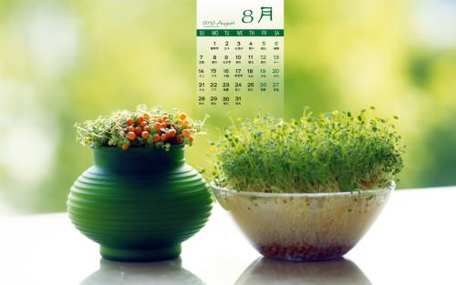 10.我以前觉得周末醒得早是不利的，但是现在我觉得如果我醒得太早，我会赚钱，因为我有更多的时间做更多有意义的事情。