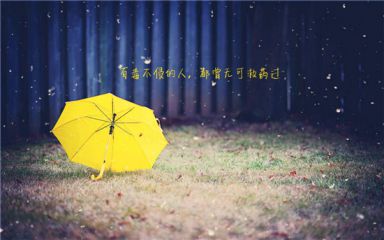 10.可以飞行时不要放弃飞行；当你可以做梦的时候不要放弃做梦；当你可以爱的时候不要放弃爱。