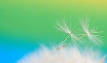 亲情正能量句子说说心情短语