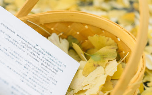 12.每个人忙了一个星期，无助又疲惫，在玩了真正的自我之后，他们必须找到一个地方在周末散散步。