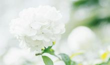 希望你每天都可以开心的句子 希望对方开心的语录