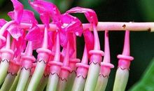 关于朋友不后悔的句子