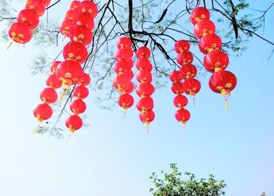 12.笑并不意味着你真的很开心，