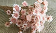 亲情家人相聚开心的句子