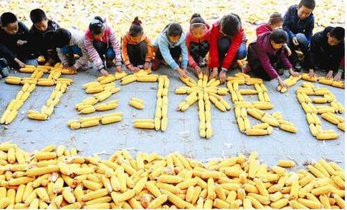 关于节省食物的名言