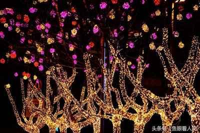 新年祝福自己1