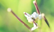 关于热闹和开心的结尾句子 热闹开心的说说