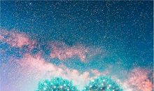 珍惜亲情的古文句子