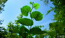 亲情离别的句子说说或心情