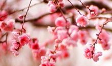 姐妹亲情暖我心的句子说说心情短语