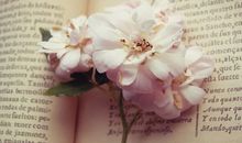 享受亲情感谢母亲相关句子