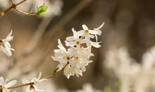 开心一日游的句子