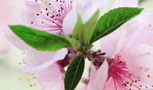 关于亲情和幸福的句子大全