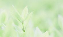 血脉与亲情的句子