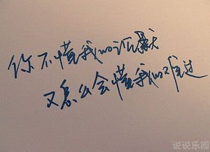 沉默的句子