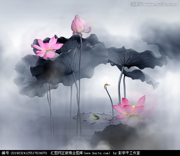关于莲花2的句子