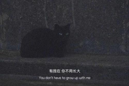温柔的句子