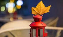 古文形容亲情的句子