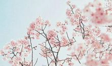 愿你活得开心的句子