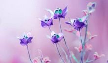 形容亲情浓的句子