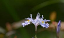 文艺亲情的句子说说心情