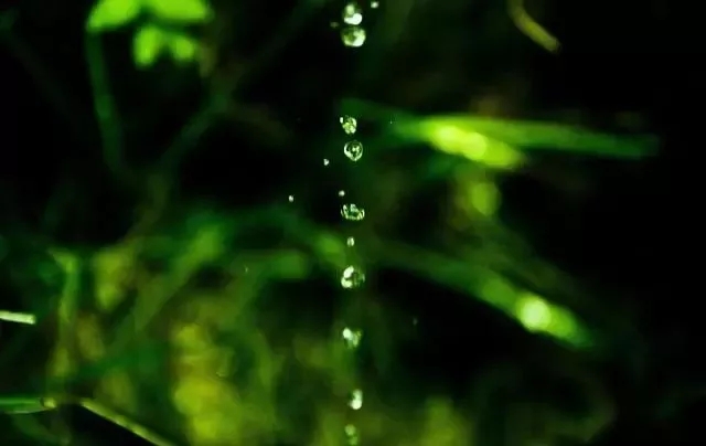 关于雨的名言