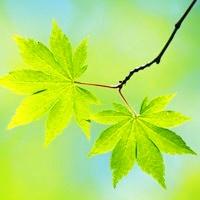 10.世界上有一切。幸福，只有那些愿意并且能够接受的人才能快乐。我的家也是如此。有些东西就像哈哈镜和平面镜的组合。在我快乐的家中也是如此。