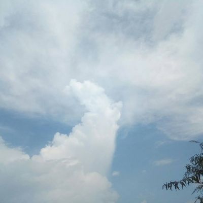10.在每个家庭中，父母都将孩子视为手中的宝石，并给予他们无限的爱。这种深爱的家庭关系是人类最崇高，最纯正的感情，也是每个人放弃的最困难的情结。因为家庭的爱是无私的。