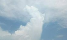 亲情也是需要经营的句子