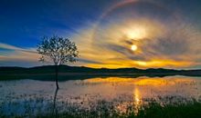 古代诗歌中表现家庭亲情的句子