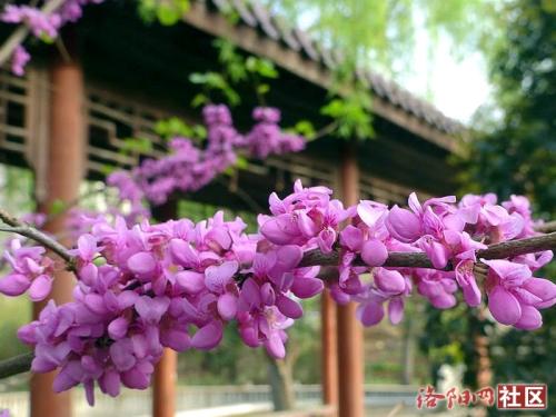 10.家庭的感情是湿润的，即使我被岁月的尘埃笼罩，也可以使我的岁月变得干净整洁。