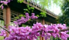 亲情幸福励志的句子