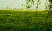 人生的优美句子