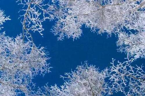 10.雪还在下，但是雪花从天上掉下来。雪落在树姑娘身上，树姑娘似乎穿着白色的婚纱。雪花飘落在房屋上，房屋似乎戴着一顶大白帽子。雪花飘落在马路上，马路就像一条白色的围巾。大雪覆盖了整个地球，大地似乎被厚厚的被子覆盖。