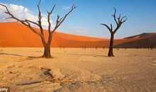 很热的幽默句子