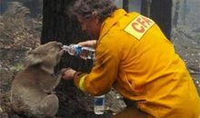 打动人心的句子