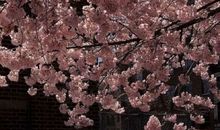 有关亲情的抒情句子