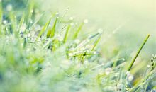 横式结构的亲情句子